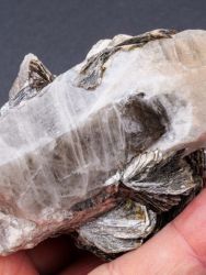 Záhněda, cinvaldit