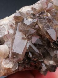 Záhněda, cinvaldit