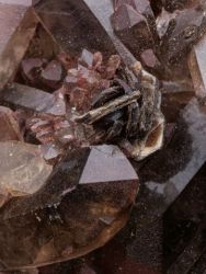 Záhněda, cinvaldit